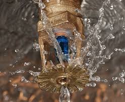 Emergency Sprinkler Repair example 3