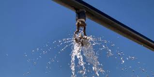 Emergency Sprinkler Repair example 4