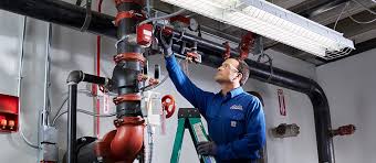 Fire Sprinkler Inspection example 2